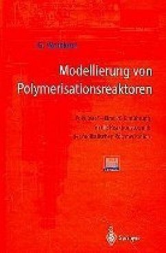 Modellierung von Polymerisationsreaktoren, m. Diskette (3 1/2 Zoll)