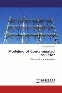 Modeling of Contaminated Insulator - Salam, Md. Abdus