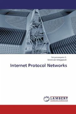 Internet Protocol Networks