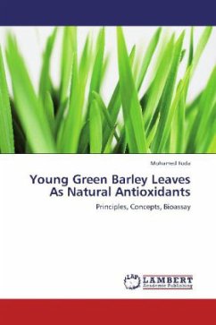 Young Green Barley Leaves As Natural Antioxidants