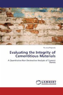 Evaluating the Integrity of Cementitious Materials