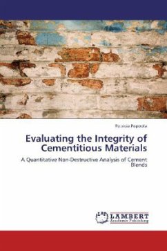 Evaluating the Integrity of Cementitious Materials - Popoola, Patricia