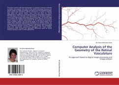 Computer Analysis of the Geometry of the Retinal Vasculature