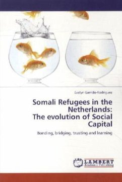Somali Refugees in the Netherlands: The evolution of Social Capital