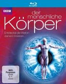 Der menschliche Körper - Entdecke die Welt in deinem Inneren Der menschliche Körper - Entdecke die Welt in deinem Inneren