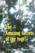 The Amazing Secrets of the Yogi - Bild 1