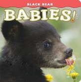 Black Bear Babies! Black Bear Babies!