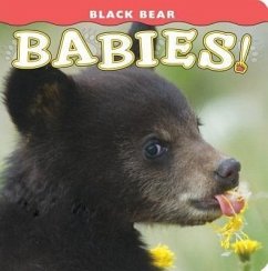 Black Bear Babies!