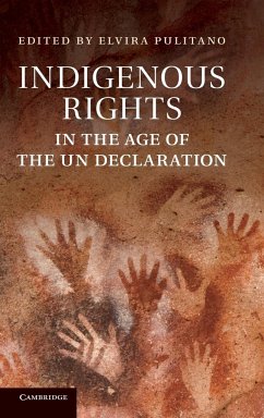 Indigenous Rights in the Age of the Un Declaration. Edited by Elvira Pulitano - Pulitano, Elvira