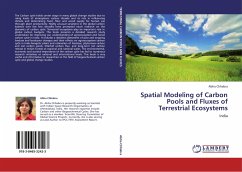 Spatial Modeling of Carbon Pools and Fluxes of Terrestrial Ecosystems - Chhabra, Abha