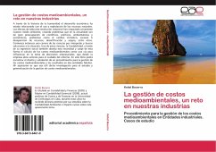 La gestión de costos medioambientales, un reto en nuestras industrias - Becerra, Keitel