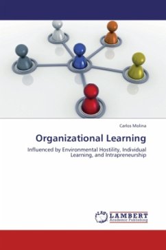 Organizational Learning - Molina, Carlos