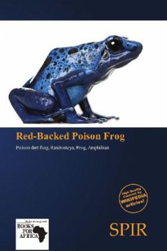 Red-Backed Poison Frog