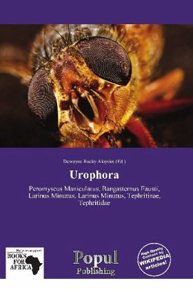 Urophora