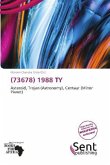 (73678) 1988 TY