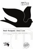 Red-Rumped Swallow