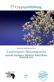Lastreopsis Decomposita
