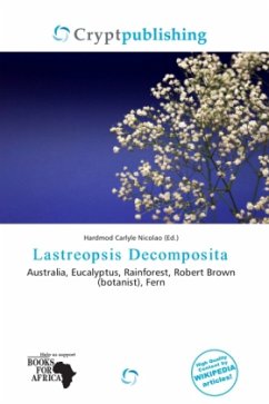 Lastreopsis Decomposita