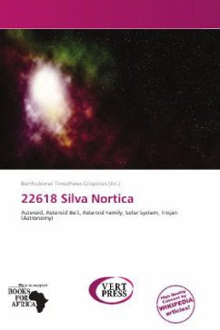 22618 Silva Nortica