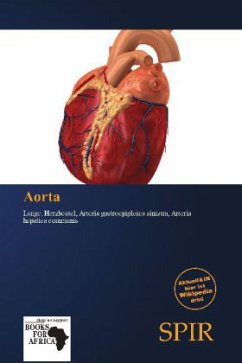 Aorta