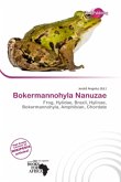 Bokermannohyla Nanuzae