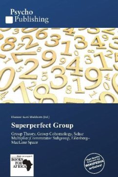 Superperfect Group