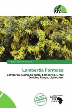 Lambertia Formosa