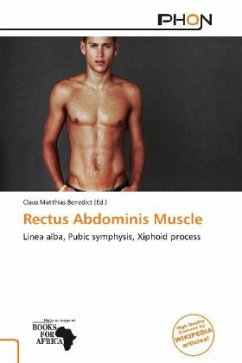 Rectus Abdominis Muscle