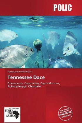 Tennessee Dace