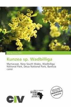 Kunzea sp. Wadbilliga