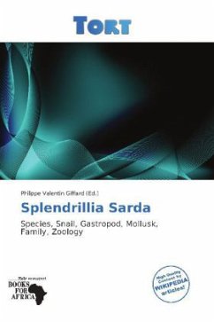 Splendrillia Sarda