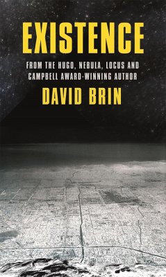 Existence - Brin, David