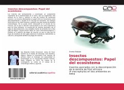 Insectos descompuestos: Papel del ecosistema