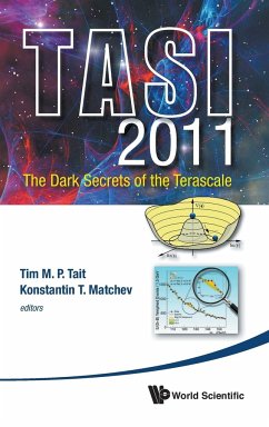 Dark Secret Terascale, Tasi 2011
