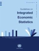 Guidelines on Integrated Economic Statistics