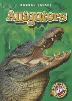 Alligators - Zobel, Derek