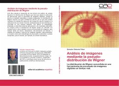 Análisis de imágenes mediante la pseudo-distribución de Wigner - Gabarda Tébar, Salvador