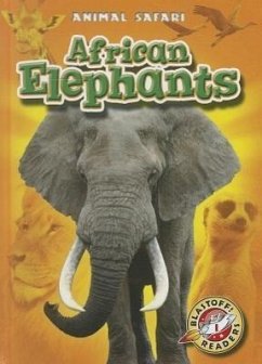 African Elephants - Schuetz, Kari