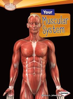 Your Muscular System - Johnson, Rebecca L