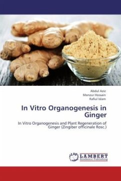 In Vitro Organogenesis in Ginger - Aziz, Abdul;Hossain, Monzur;Islam, Rafiul