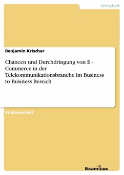 Chancen und Durchdringung von E - Commerce in derTelekommunikationsbranche im Business to Business Bereich - Krischer, Benjamin