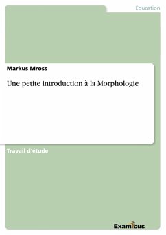 Une petite introduction à la Morphologie