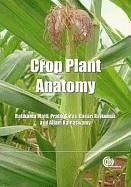 Crop Plant Anatomy - Maiti, Ratikanta; Satya, Pratik; Rajkumar, Dasari; Ramaswamy, Allam