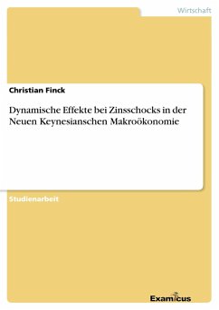 Dynamische Effekte bei Zinsschocks in der Neuen Keynesianschen Makroökonomie - Finck, Christian