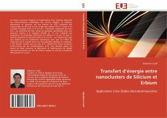 Transfert d¿énergie entre nanoclusters de Silicium et Erbium - Cueff, Sébastien