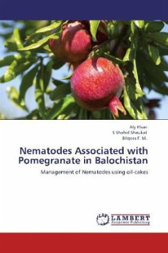 Nematodes Associated with Pomegranate in Balochistan - Khan, Aly;Shaukat, S. Sh.;Bilqees