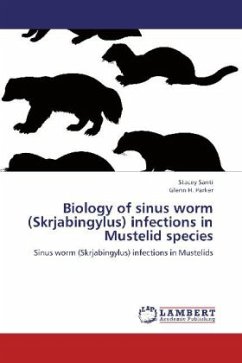 Biology of sinus worm (Skrjabingylus) infections in Mustelid species