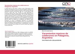 Varamientos masivos de calderones en Patagonia, Argentina - García, María Fernanda