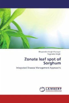 Zonate leaf spot of Sorghum