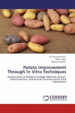 Potato Improvement Through In Vitro Techniques